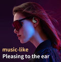AI translator earbuds